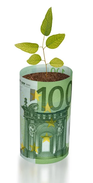 Sapling growing from euro bill — Stock Photo, Image