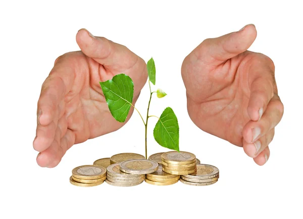 Handen bescherming boom groeien uit de stapel van munten — Stockfoto