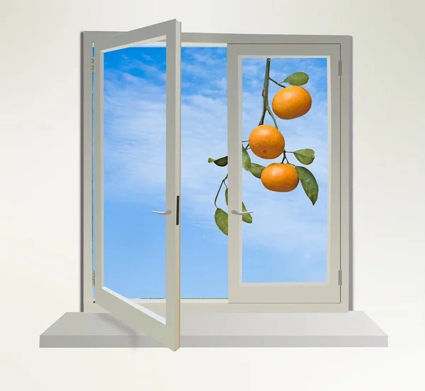 Mandarynki w oknie — Zdjęcie stockowe