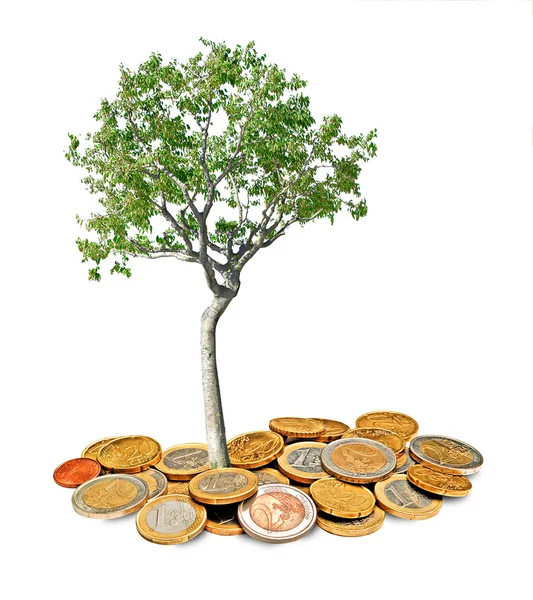Árbol creciendo a partir de monedas — Foto de Stock