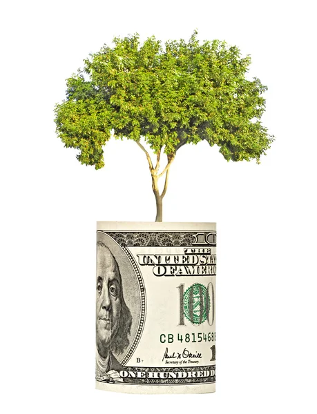 Träd växer från dollarsedel — Stockfoto