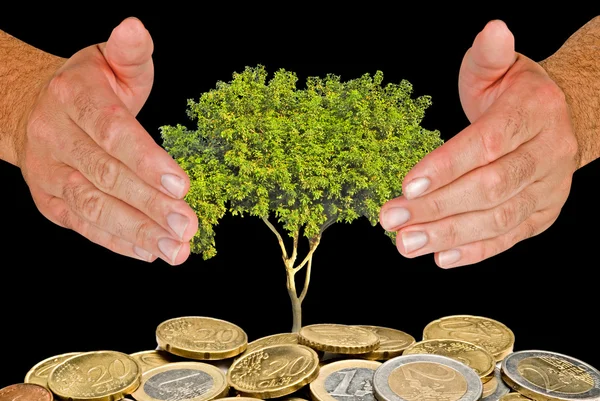 Manos protegiendo el árbol que crece de la pila de monedas — Foto de Stock