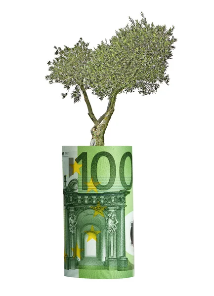 Olive tree growing from euro bill — Stock Photo, Image