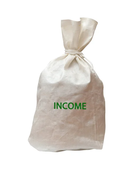 袋与收入 — 图库照片