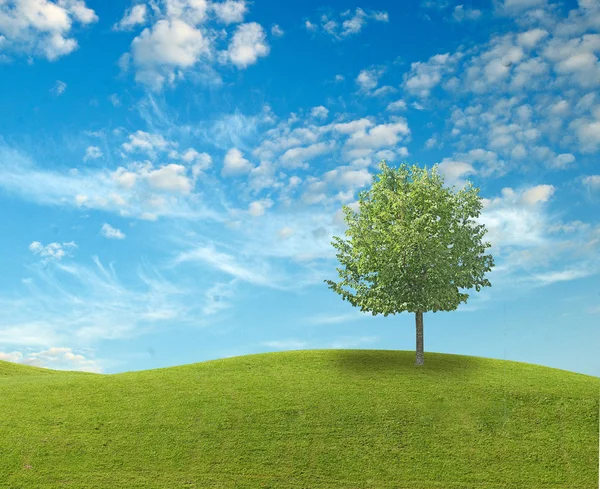 Tree at meadow — Stock Photo, Image