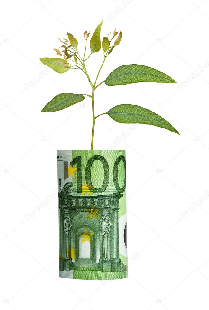 Tree growing from euro bill