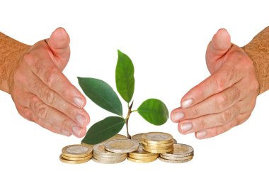 Sapling growing from coins clipart