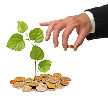 Tree growing from coins clipart