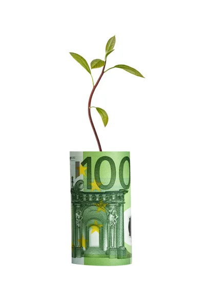 ユーロ紙幣から成長しているツリー — ストック写真