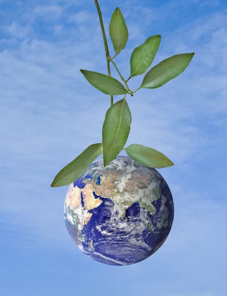 Planet Earth as a fruit on branch — Stock Photo, Image