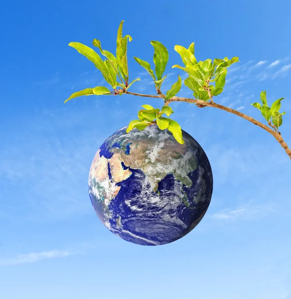 Planet Earth as a fruit on branch — Stock Photo, Image