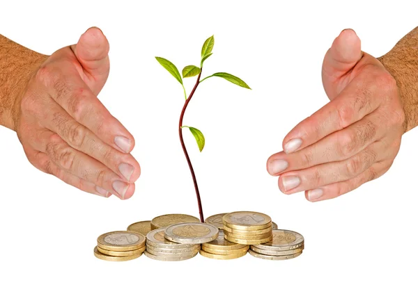 Hands protecting avocado seedling growing from pile of coins — Stock Photo, Image