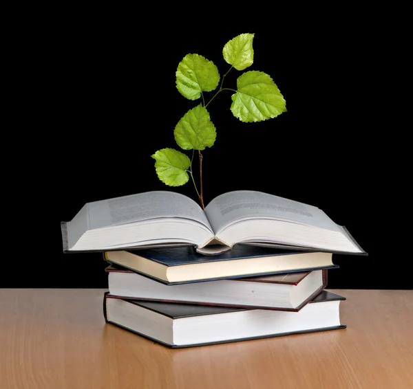 Plantan växer från en öppen bok — Stockfoto