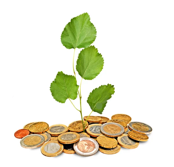 Árbol que crece de la pila de monedas —  Fotos de Stock