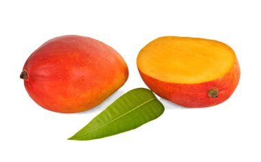 Beyaz arka plan üzerinde izole mango bölümü