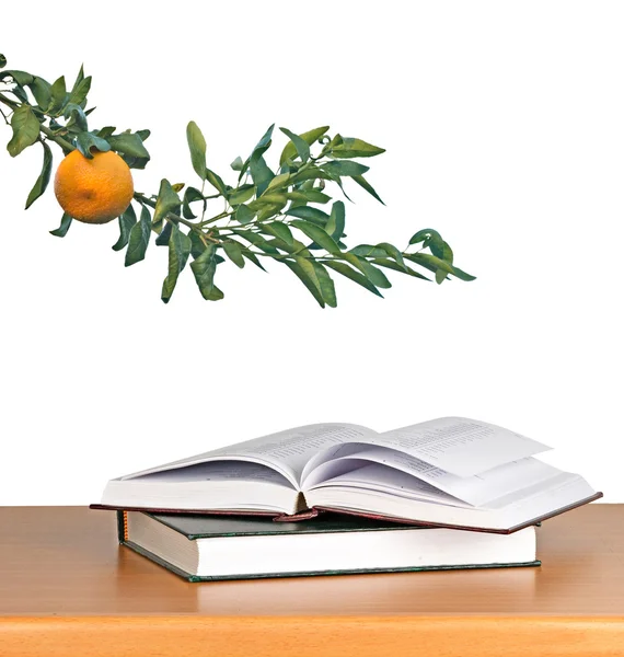 Libros y mandarina — Foto de Stock