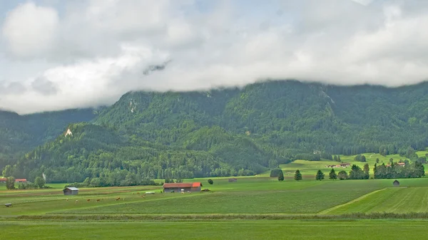 Alperna och fält — Stockfoto