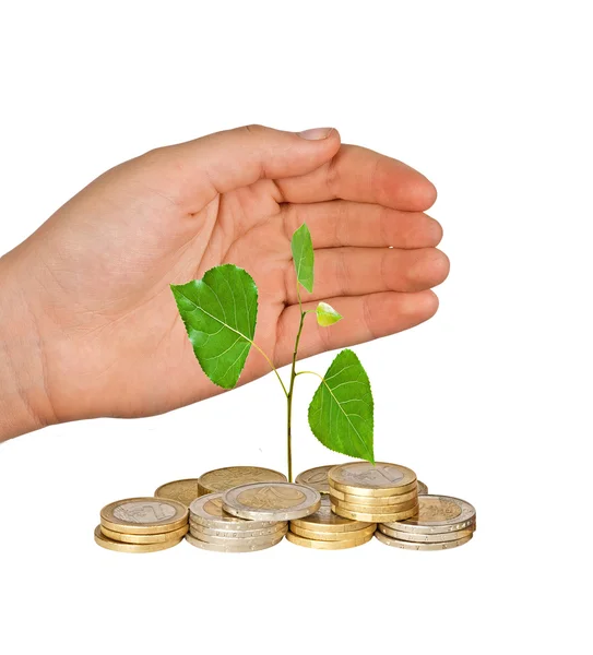 Hand protecting tree growing from pile of coins — Stock Photo, Image