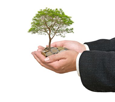 avuç içi ile ağaç dar sikke yığını üzerinden