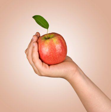 Apple in hand clipart