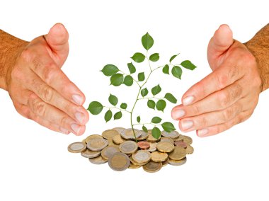 Hands protecting tree growing from pile of coins clipart