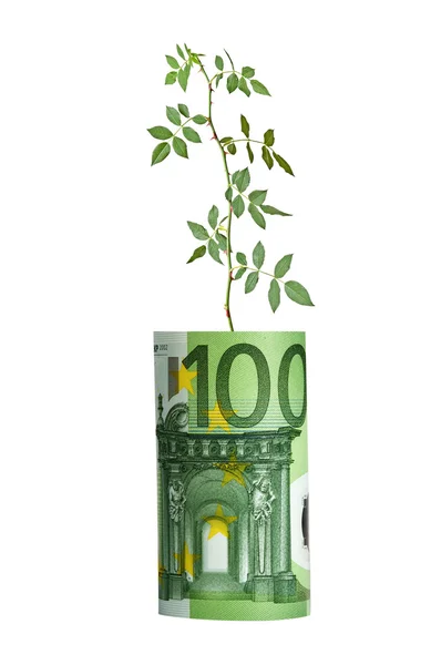 Rose growing from euro bill — Stock Photo, Image