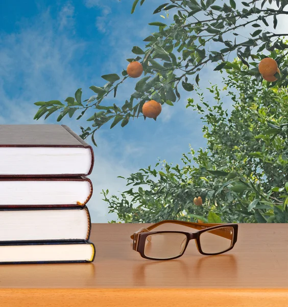 Eyeglasses and books — Stock Photo, Image