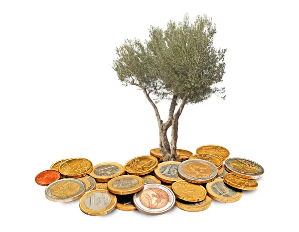 Olijf boom groeien uit de stapel van munten — Stockfoto