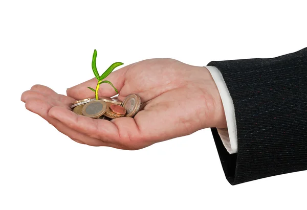 Palm with an orhid seedling growng from pile of coins — Stock Photo, Image