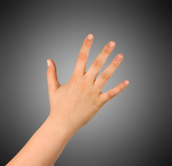 Hand isolated on background — Stock Photo, Image