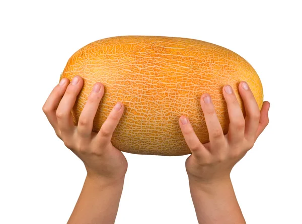 Melones en manos aisladas sobre fondo blanco —  Fotos de Stock
