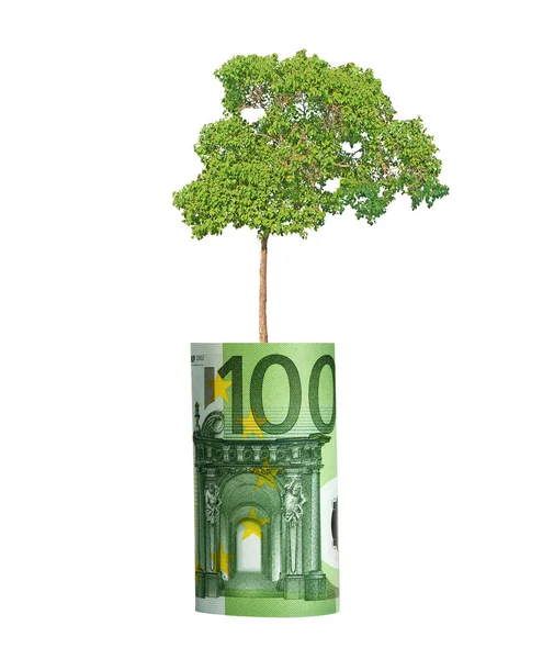Drzewa rosnące z rachunku euro — Zdjęcie stockowe