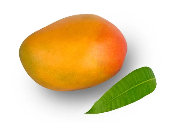 Mango na liście na białym tle — Zdjęcie stockowe