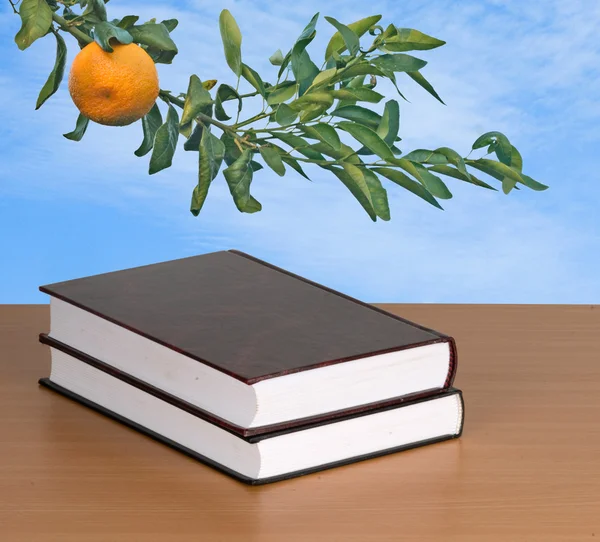 Книги та мандарина — стокове фото