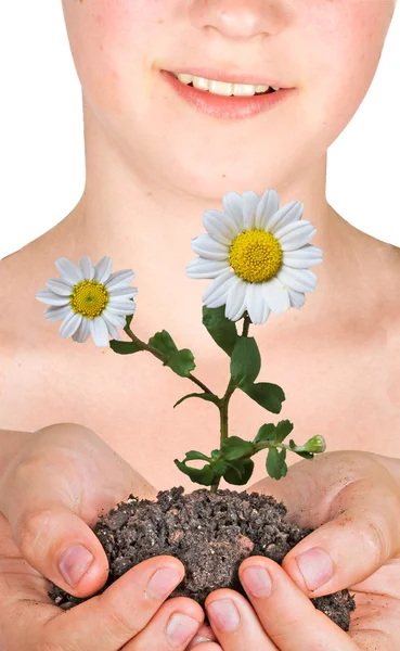 Květina v dlaních jako symbol ochrany přírody — Stock fotografie