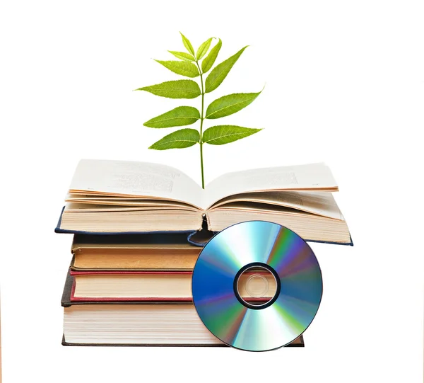 Açık kitap büyüyen ağacı — Stok fotoğraf