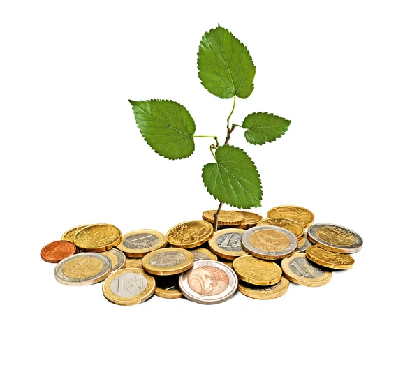 Träd växer från högen av mynt — Stockfoto