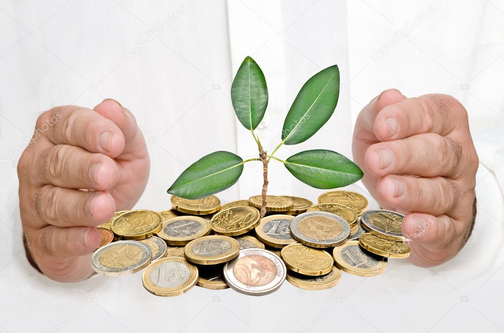Hands protecting tree growing from pile of coins