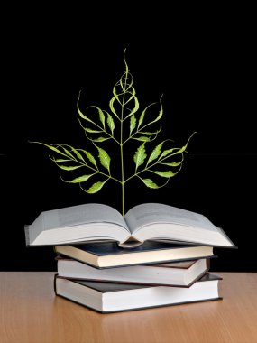 bir kitaptan büyüyen ağacı