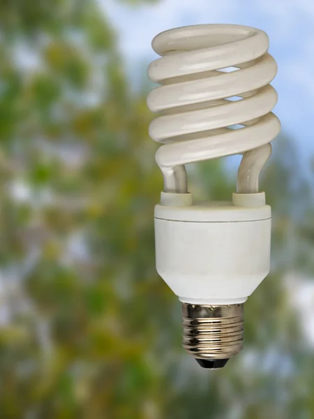 에너지 절약 램프 — 스톡 사진