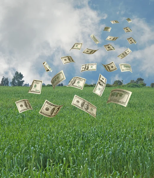 Money falling to agriculture — Stock Photo, Image
