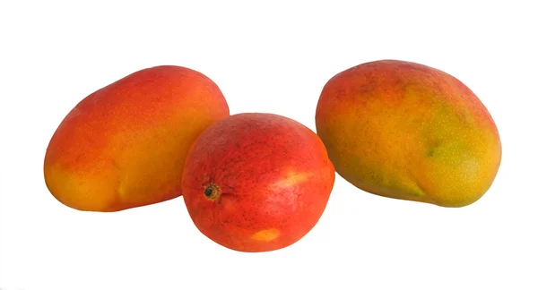 Mangos isoliert auf weißem Hintergrund — Stockfoto