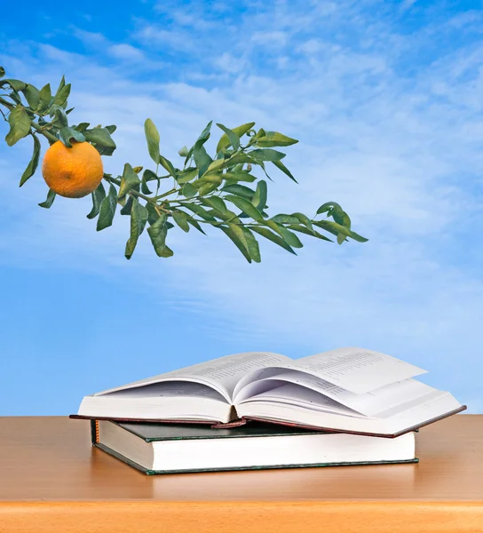 Boeken en tangerine — Stockfoto