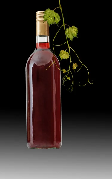 Garrafa de vinho tinto com videira — Fotografia de Stock