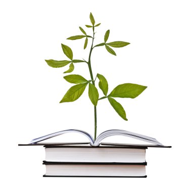 Açık kitap büyüyen bitki