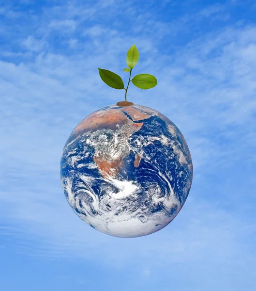 stock image Tree on Earth as a symbol of pease and feeding the world