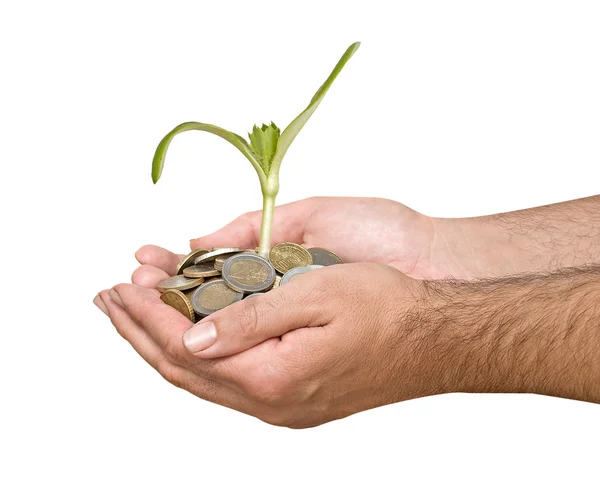 Palms with a plant growng from pile of coins — Stock Photo, Image