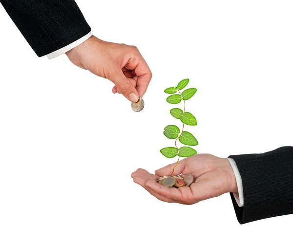 Palm with a plant growng from pile of coins — Stock Photo, Image