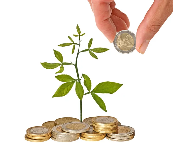 Växtodling från mynt — Stockfoto