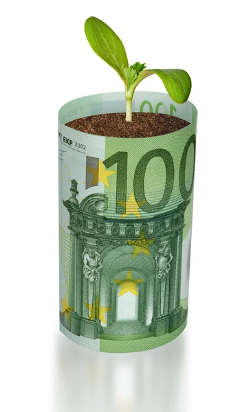 Spira växer från eurosedeln — Stockfoto
